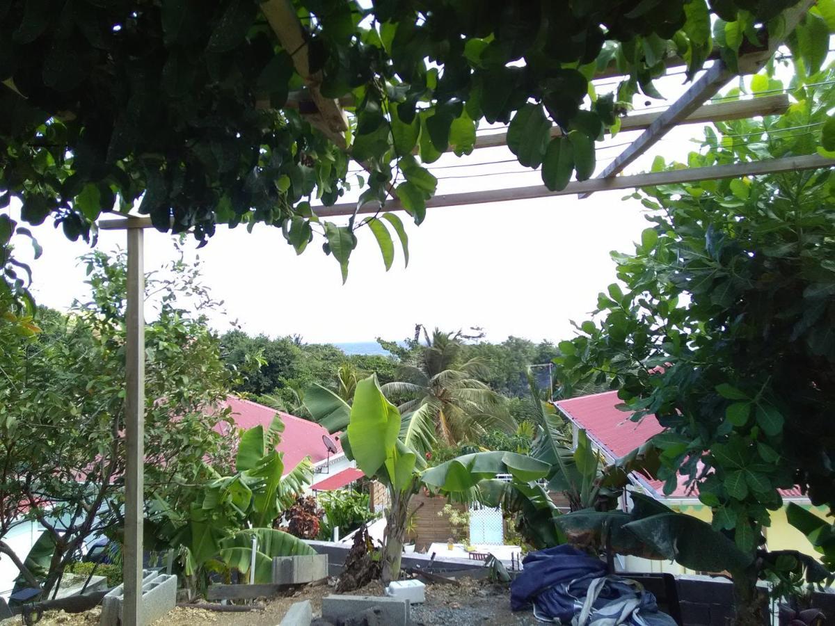 Appartamento Maison Chaleureuse Avec Vue Sur Mer Terre-De-Haut Esterno foto